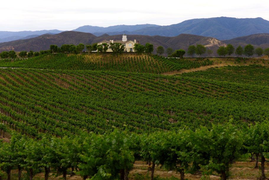 Vast vineyard landscape with a distant house on a hill and rolling mountains.