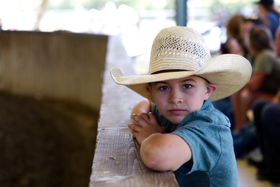 A young boy in a cowboy hat leans on a railing, observing a livestock event.